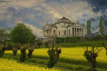 Prossima Foto: Villa Capra, la Rotonda