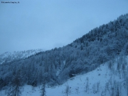 Isolamento nel blu