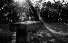 Foto Precedente: Luce