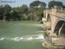 Prossima Foto: il biondo Tevere