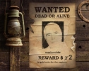 Prossima Foto: Wanted......