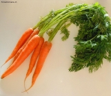 Foto Precedente: carote fresche appena raccolte