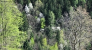 Prossima Foto: firmato natura
