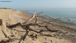 Prossima Foto: Dopo  la mareggiata