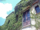 Foto Precedente: Menfi - Ricerca di frescura estiva