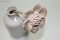 Foto Precedente: Fiore in vaso