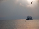 Prossima Foto: Ferry Boat sul Garda