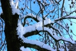 Prossima Foto: Legno, neve e cielo-