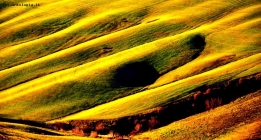 Prossima Foto: Campagna Toscana