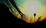 Prossima Foto: stile design