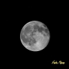 Prossima Foto: Full Moon