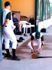 Prossima Foto: Atleta ispirato...