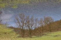 Prossima Foto: specchio d'acqua delle mie brame..