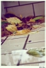 Foto Precedente: After the rain