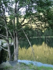 Prossima Foto: lago dei Caprioli 