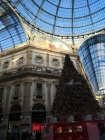 Foto Precedente: Per le vie di Milano 
