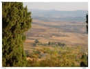 Foto Precedente: Terra di Toscana