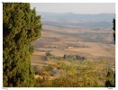 Prossima Foto: Terra di Toscana