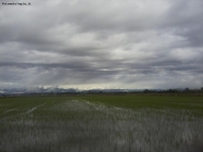 Prossima Foto: il verde che fu