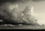 Foto Precedente: oceanicaII..