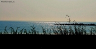 Foto Precedente: Voglia di mare