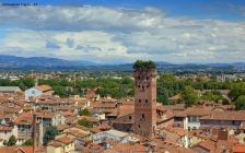 Foto Precedente: Lucca