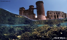 Prossima Foto: tra mare e storia