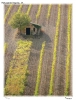 Terre di Toscana