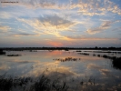 Prossima Foto: tramonto in laguna ....