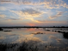 Foto Precedente: tramonto in laguna ....