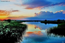 Prossima Foto: tramonto sull'acqua