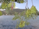 Foto Precedente: avigliana scorcio del lago