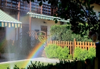 Prossima Foto: L'arcobaleno in giardino