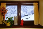 Prossima Foto: Una giornata con neve