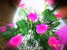 rose fuxia