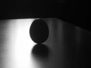 Prossima Foto: in equilibrio