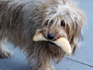 Prossima Foto: Colazione assicurata