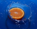 Prossima Foto: orange in the blu