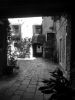 Prossima Foto: cortili veneziani  ....