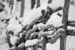Prossima Foto: Neve