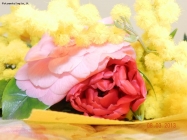 festa della donna