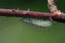 Prossima Foto: piccola natura!!