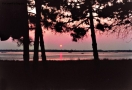 Prossima Foto: tramonto NELLA PALUDE