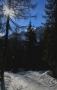 Prossima Foto: Dolomiti
