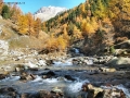 Prossima Foto: autunno in Val Varaita
