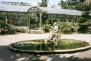 Foto Precedente: Palermo - Orto Botanico