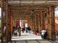 Prossima Foto: volti del Marocco 04