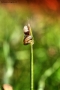 Prossima Foto: ...INSIEME...