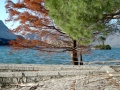 Prossima Foto: lago maggiore