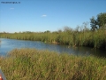 Prossima Foto: le paludi everglades